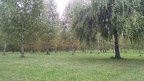 IMG 20150919 051244607